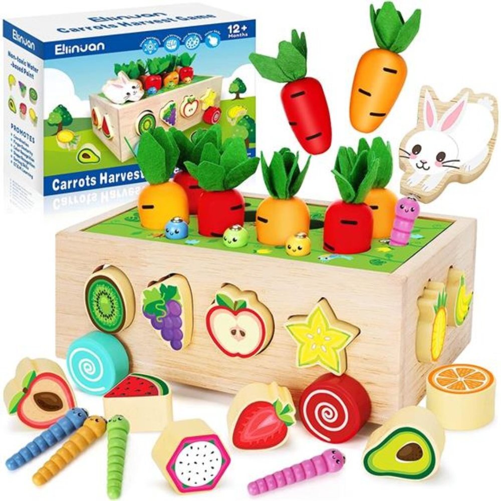 Wood Shape Sorter Toys Gifts for Toddlers Learning Fine Motor Skills